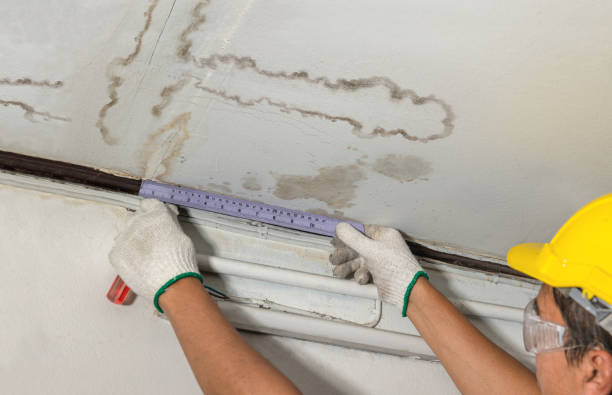 Reliable Burst Pipe Cleanup contractor in Lutz, FL by Water Damage Irwin